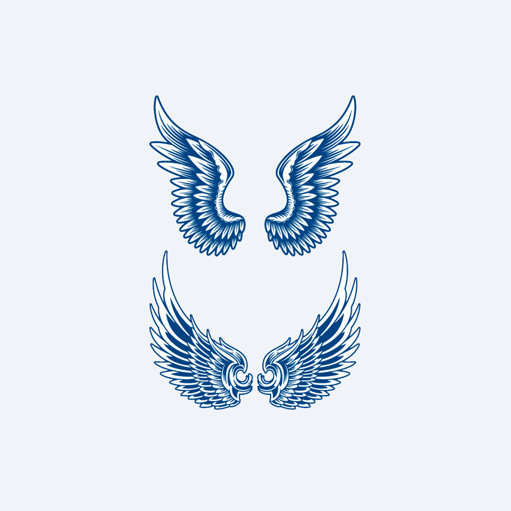 discovery pack 24
