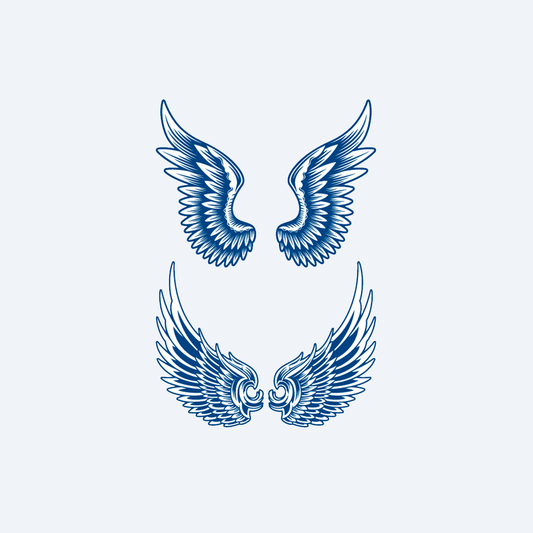 discovery pack 24