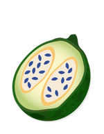 jagua <br>fruit ink