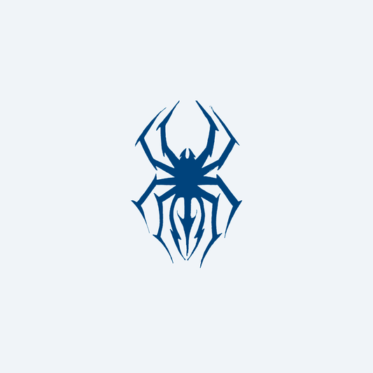 geometric spider