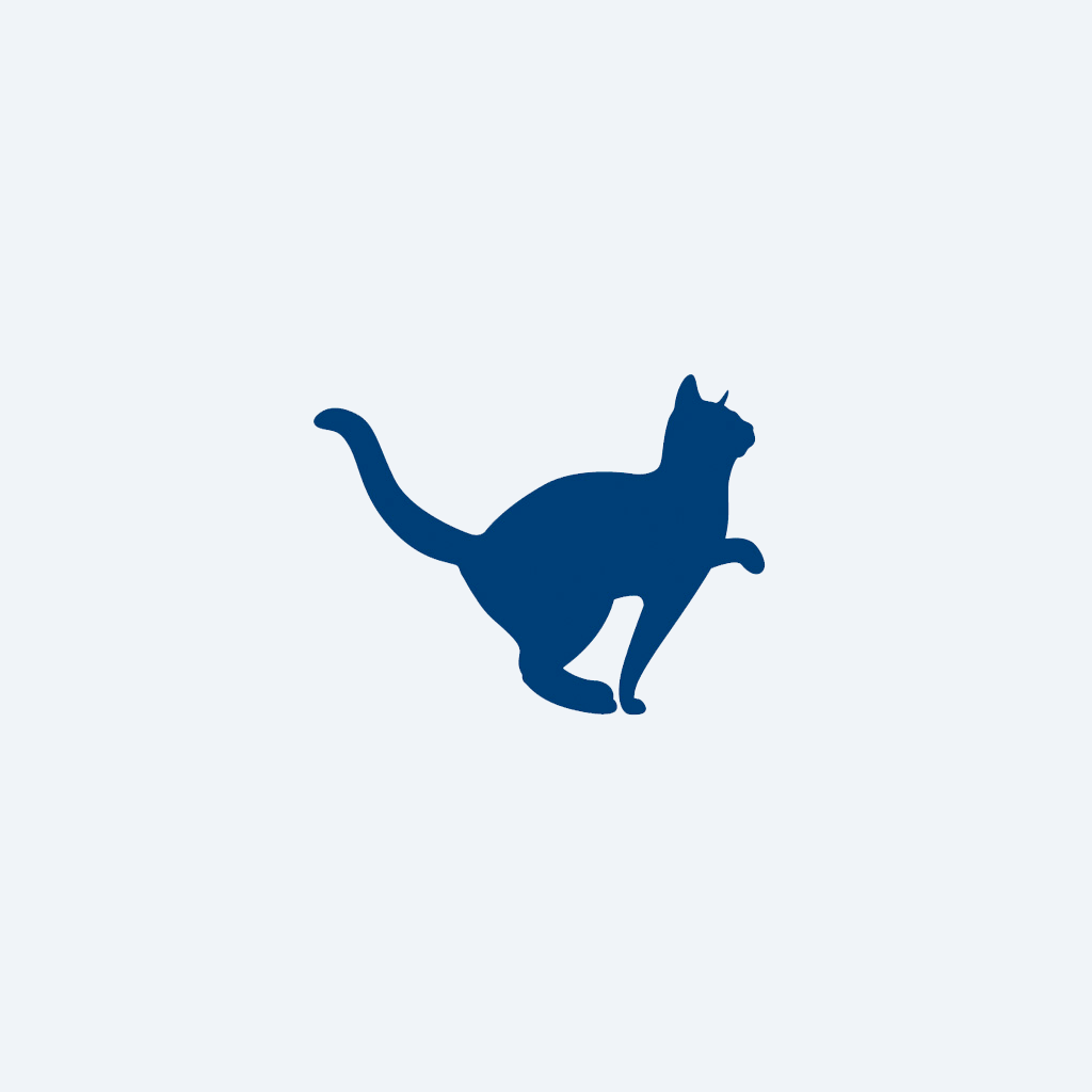 kucing berjalan