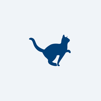kucing berjalan