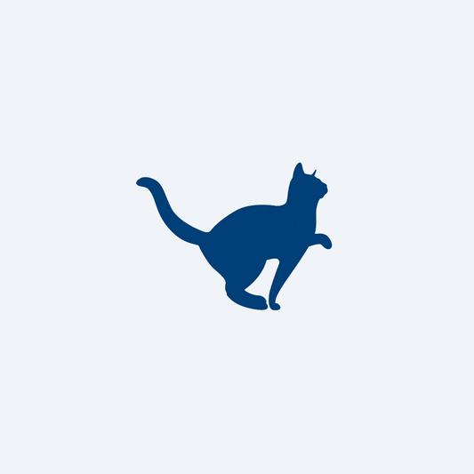 kucing berjalan