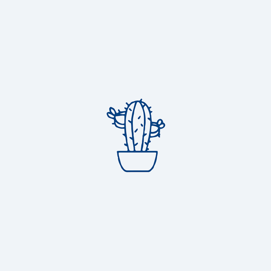 potted cactus