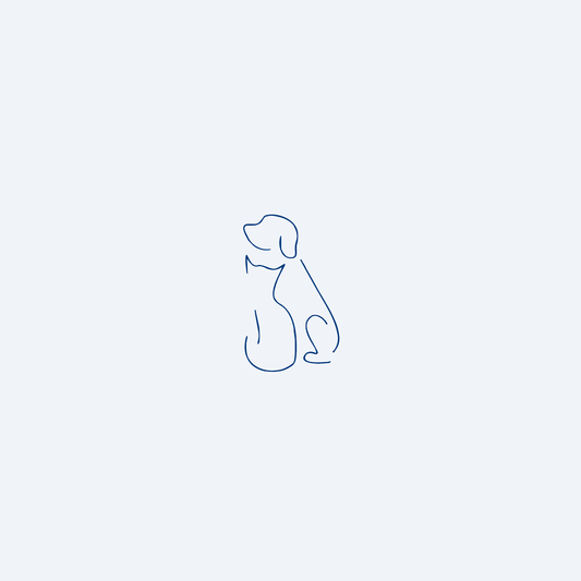 persahabatan kucing dan anjing