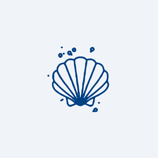 kerang laut bergelembung
